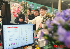 <strong>新春走下层｜年宵花从“云”上来</strong>